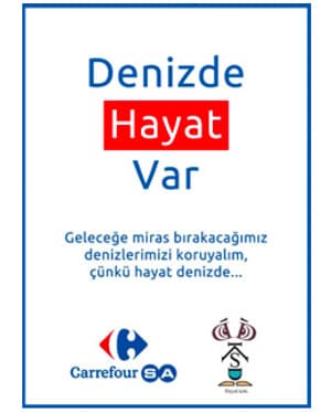 carrefoursa-logo